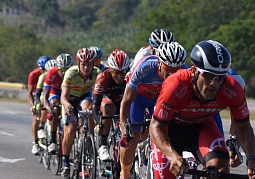 Прокат велосипедов