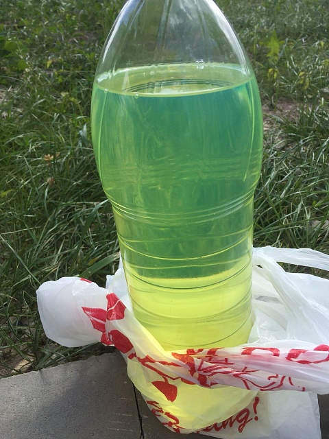 ДТ Евро Сорт С Невская ЛПДС